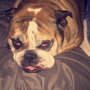 Meet your Posher, Dean